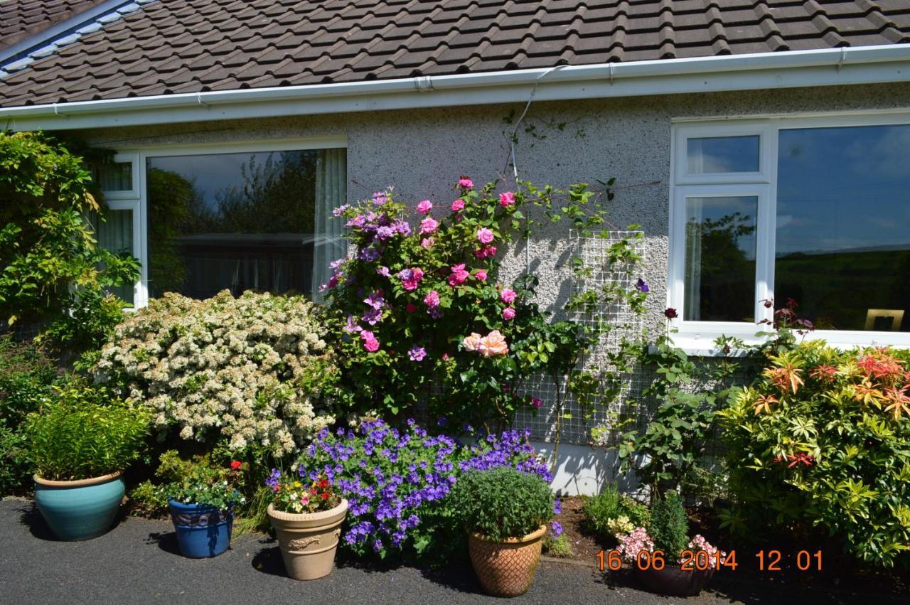 Meadow View B&B Ballymena Eksteriør bilde